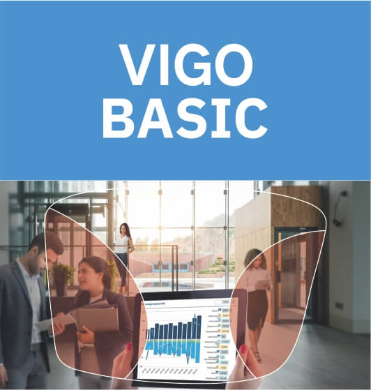 Vigo Basic