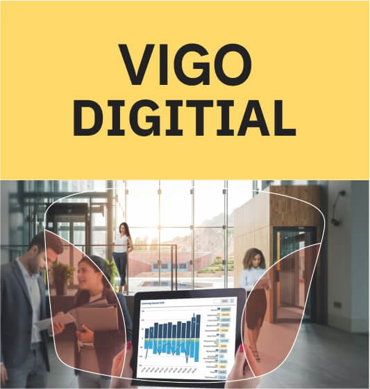Vigo Pro
